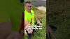 99 Grass Trimmer Vs Overgrown Lawn