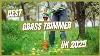 Best Grass Trimmer Uk 2025 Best Grass Strimmer Uk