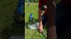 Day Plus Grass Strimmer Brush Cutter Bargain