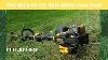 Don T Buy A String Trimmer Until You See This The Dewalt 60v String Trimmer Is Simply Amazing