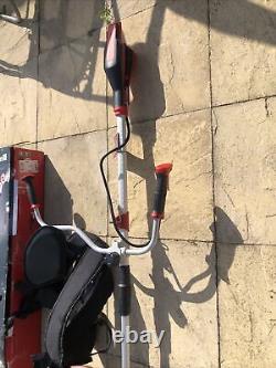 Einhell Power X-Change AGILLO 18/200 18V Cordless 30cm Bushcutter ONLY USED ONCE