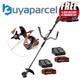 Einhell Professional Twin 18/36v Cordless Brushcutter Gp-bc 36/430 + 2 X 4ah Kit