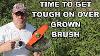 Putting A 10 Inch Two Blade Brush Cutter To The Weed Trimming Test