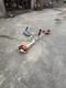 Stihl Fs 461 Cem Strimmer Brush Cutter Clearing Cord Harness Year 2024