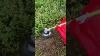 The 365famtools Steel Wire Brush Trimmer Head For Gas Powered Trimmers