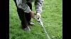 The Best Tool For Your Garden The Hedge Trimmer Brush Cutter
