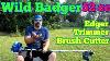 Critique De La Débroussailleuse Coupe-bordure Et Rogneuse Wild Badger Power 52cc