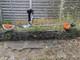 Stihl Fsa 130 D&eacute;broussailleuse Sans Fil, Corps Seul, En &eacute;tat De Marche. 1 Des 2 Unit&eacute;s