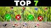 Top 7 Des Meilleures D&eacute;broussailleuses Thermiques 2026, Coupe-bordures Pour Herbes &eacute;paisses, Coupe-herbe Robuste Pour Travaux Intensifs